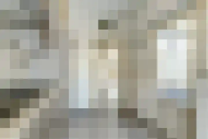 De Gaspeldoorn 9 Bladel thumbnail 19
