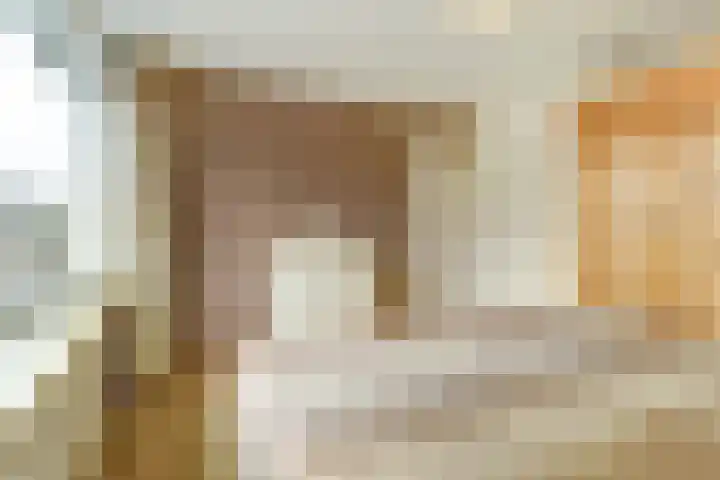 De Gaspeldoorn 9 Bladel thumbnail 23