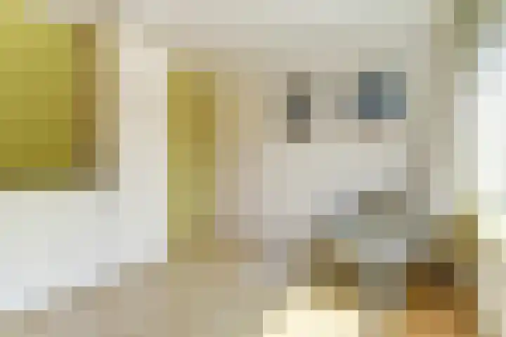 De Gaspeldoorn 9 Bladel thumbnail 26