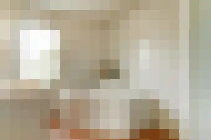 De Gaspeldoorn 9 Bladel thumbnail 27