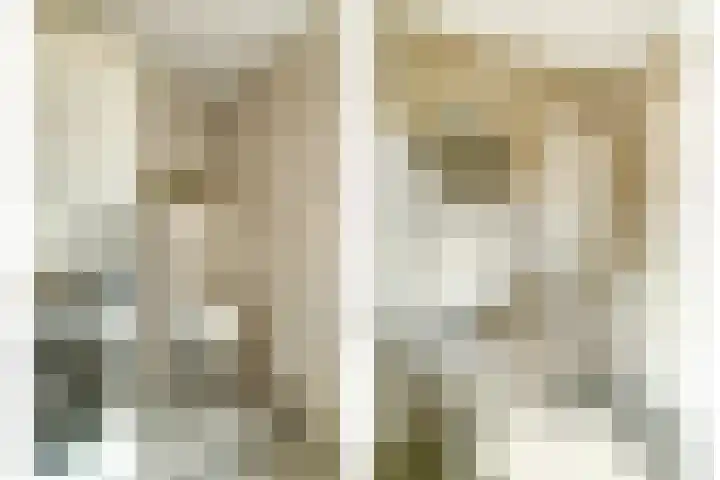 De Gaspeldoorn 9 Bladel thumbnail 29