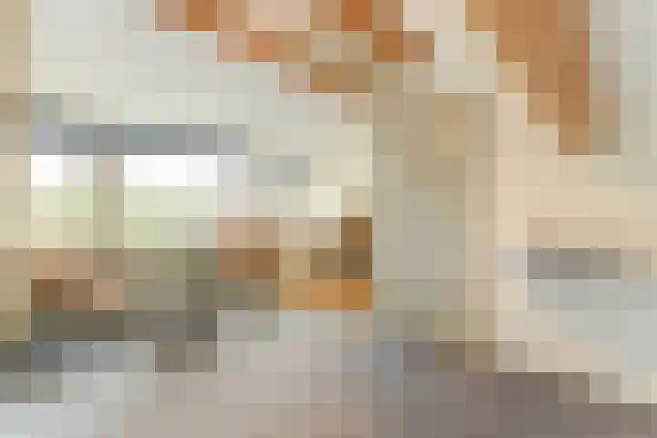 De Gaspeldoorn 9 Bladel thumbnail 30