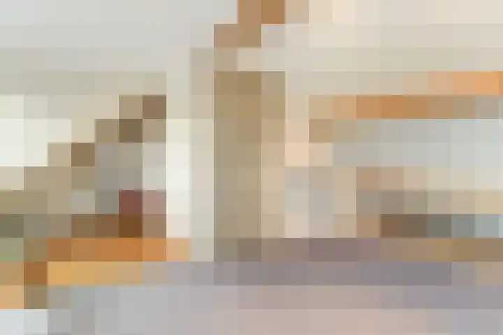 De Gaspeldoorn 9 Bladel thumbnail 32