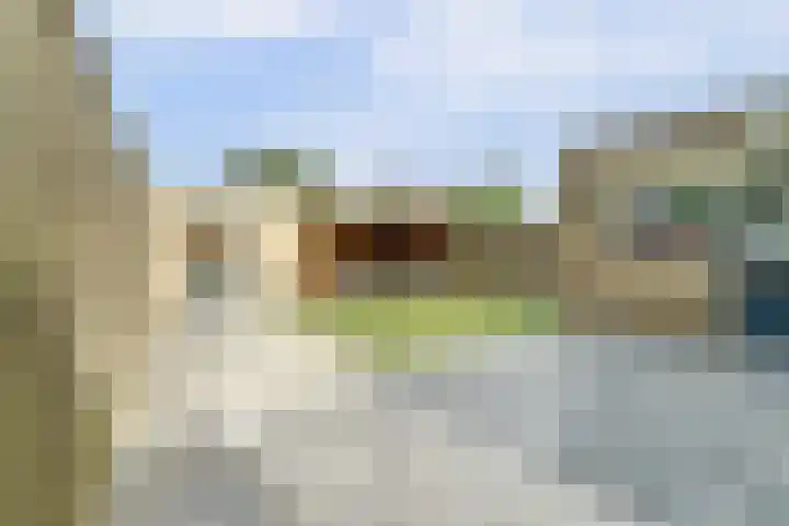 De Gaspeldoorn 9 Bladel thumbnail 33