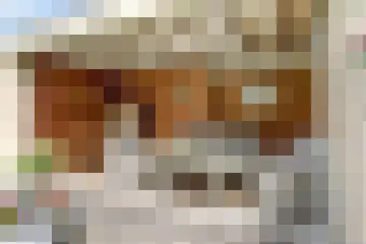 De Gaspeldoorn 9 Bladel thumbnail 35