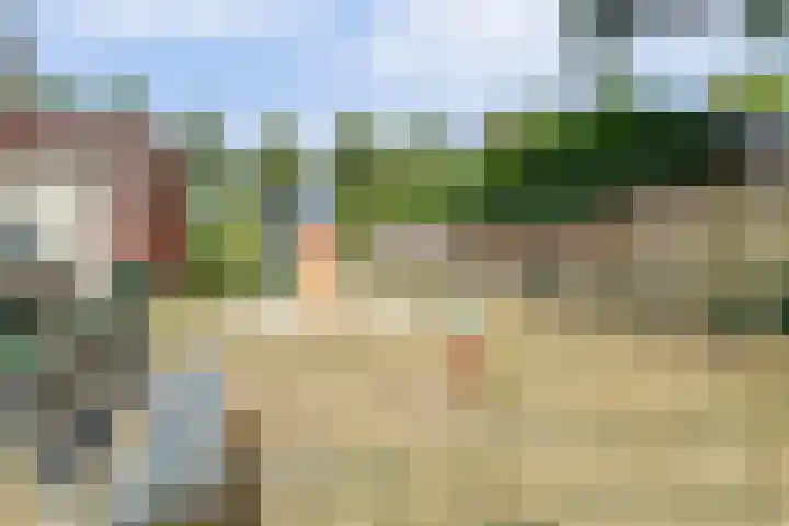 De Gaspeldoorn 9 Bladel thumbnail 37