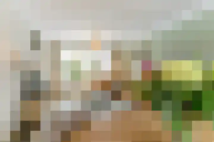 De Gaspeldoorn 9 Bladel thumbnail 6