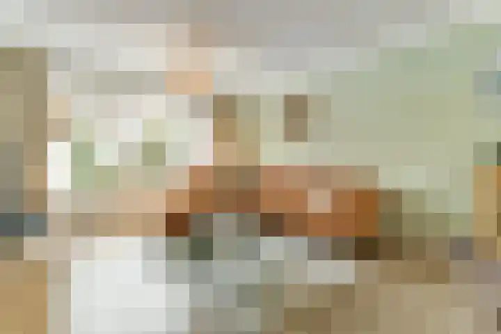 De Gaspeldoorn 9 Bladel thumbnail 7