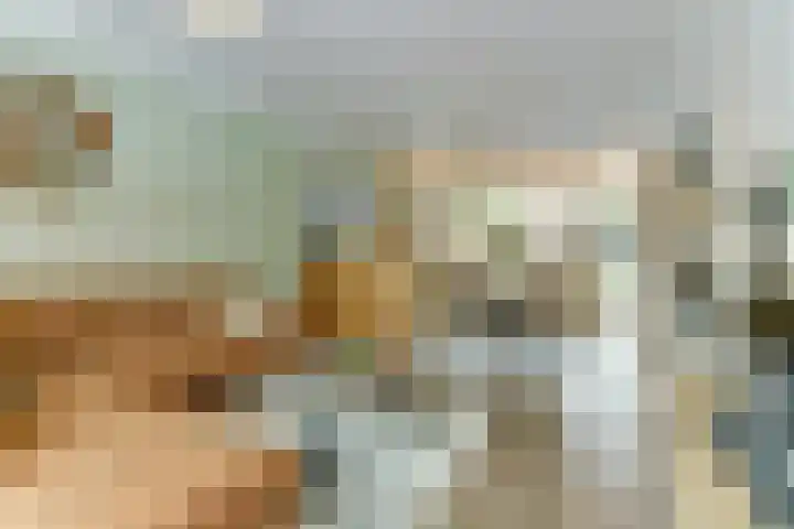 De Gaspeldoorn 9 Bladel thumbnail 8
