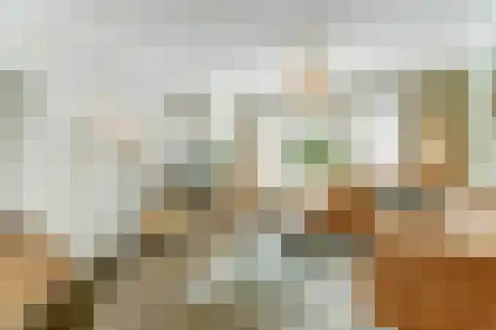 De Gaspeldoorn 9 Bladel thumbnail 9