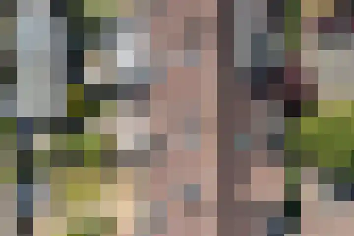De Gasperilaan 107 Doetinchem thumbnail 5