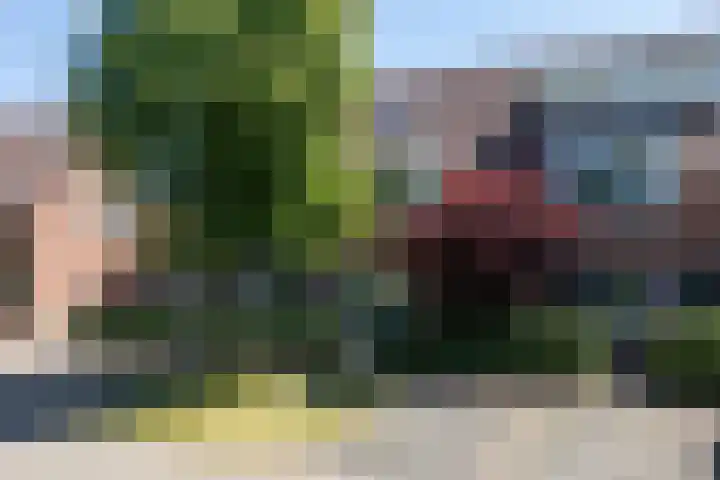 De Gasperilaan 107 Doetinchem thumbnail 53