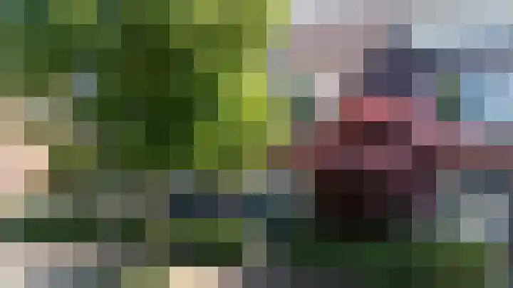 De Gasperilaan 107 Doetinchem thumbnail 58