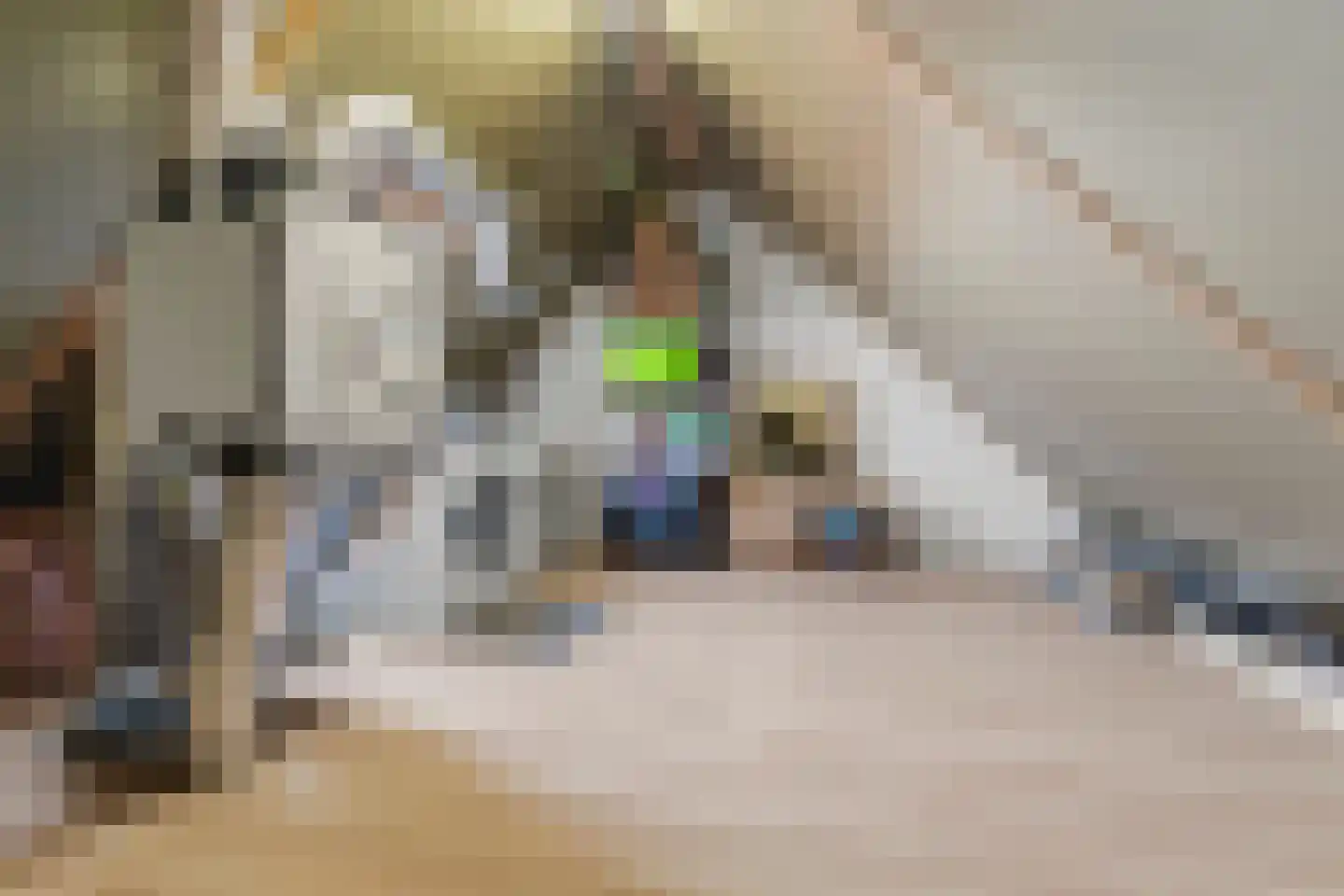 De Gasperilaan 145 Doetinchem thumbnail 39
