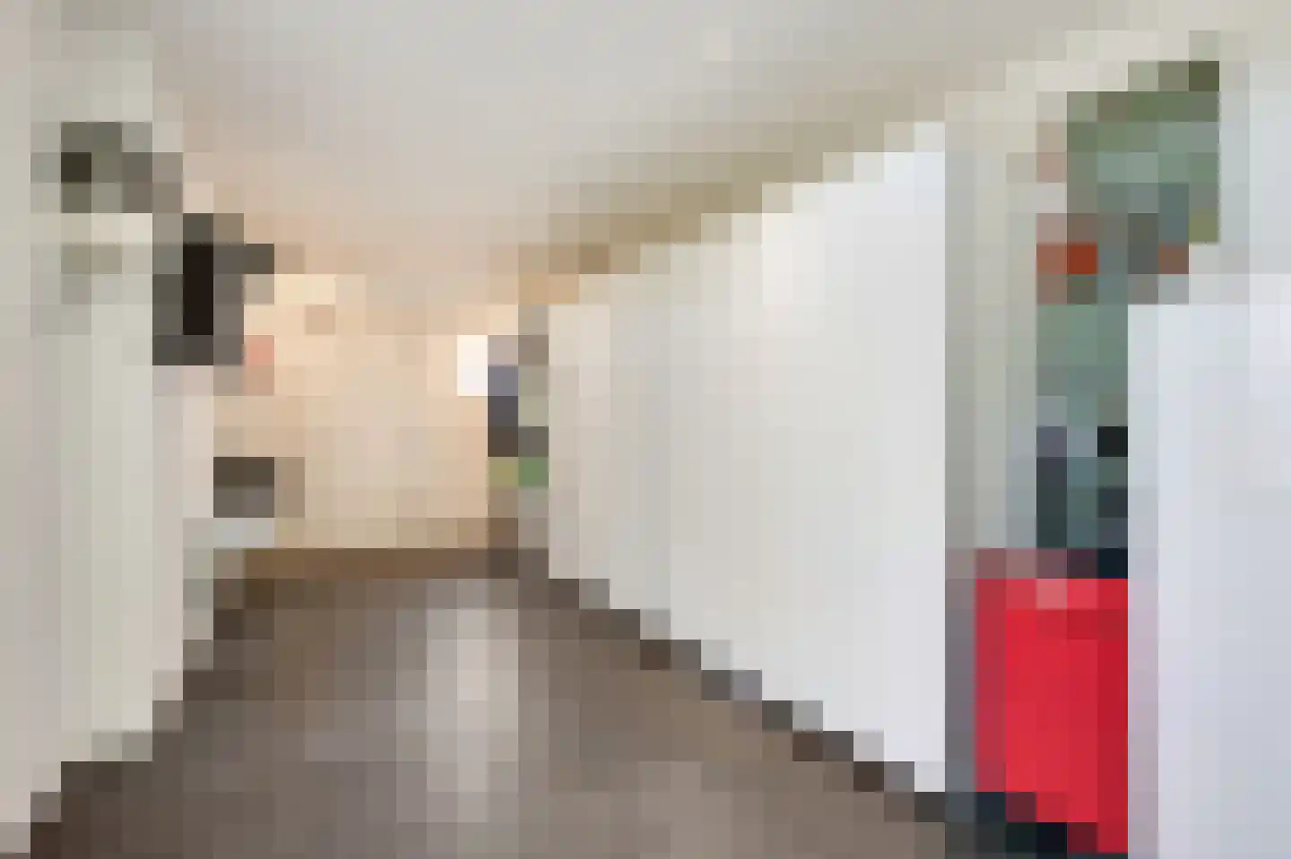 De Gasperilaan 17 Doetinchem thumbnail 28