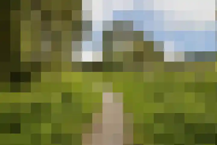 De Gasperilaan 29 Uithoorn thumbnail 36