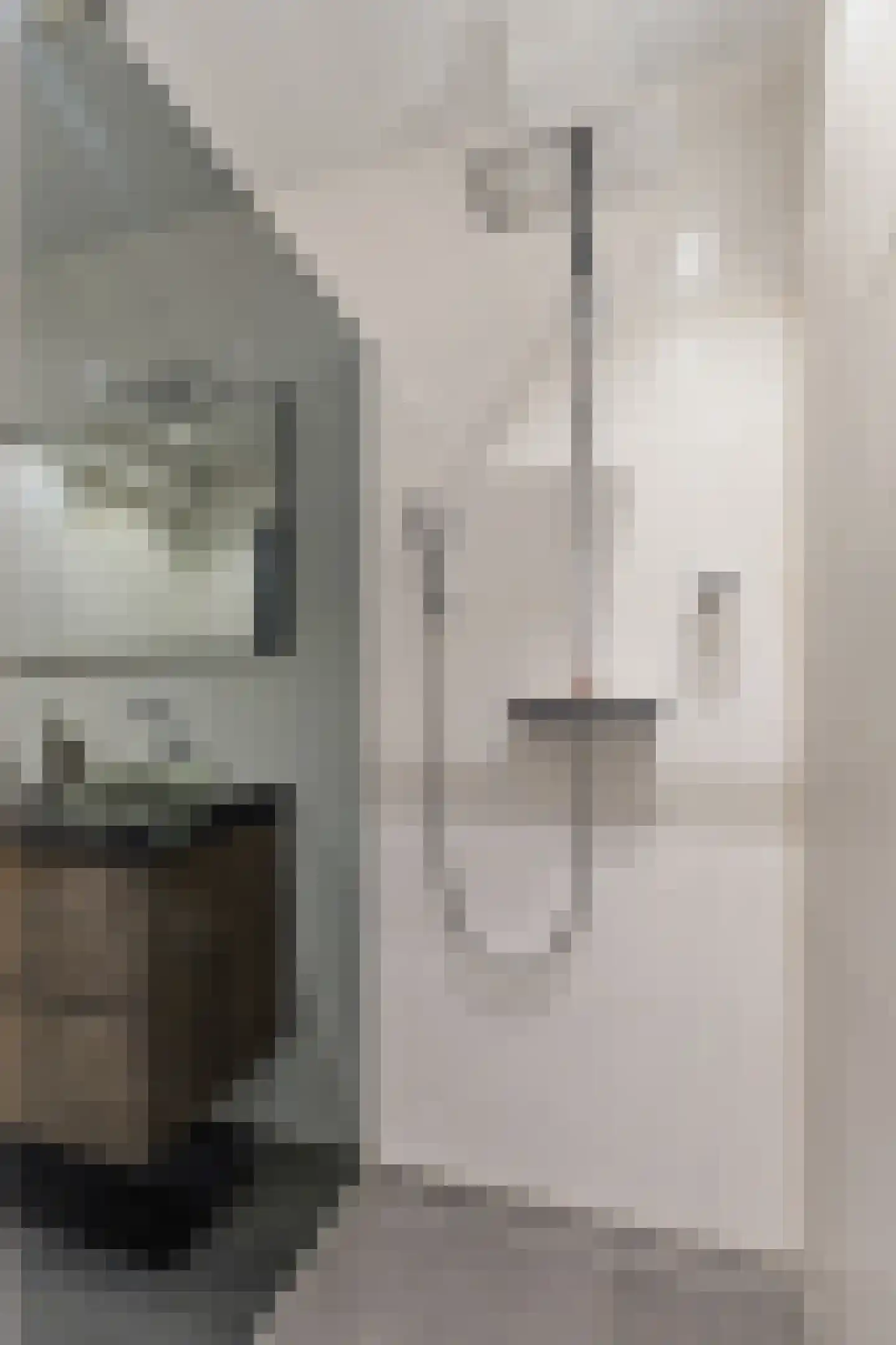 De Gasperilaan 30 Uithoorn thumbnail 32