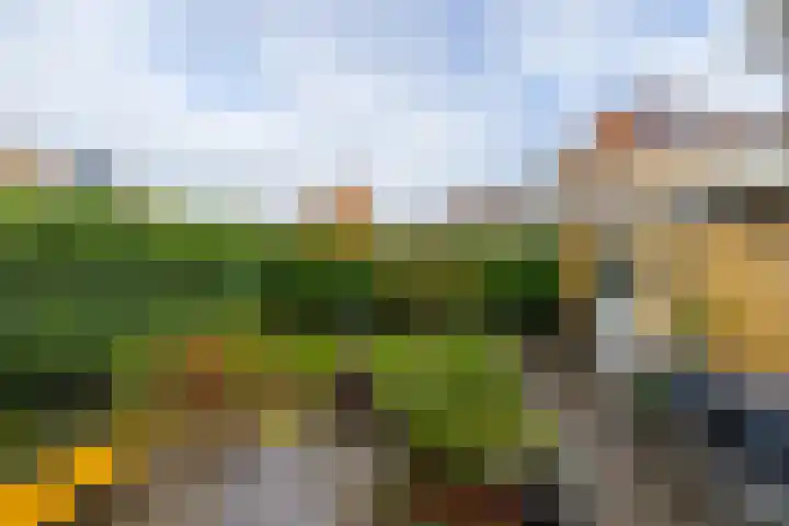 De Gasperilaan 32 Doetinchem thumbnail 18