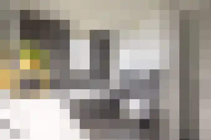 De Gasperilaan 32 Doetinchem thumbnail 33