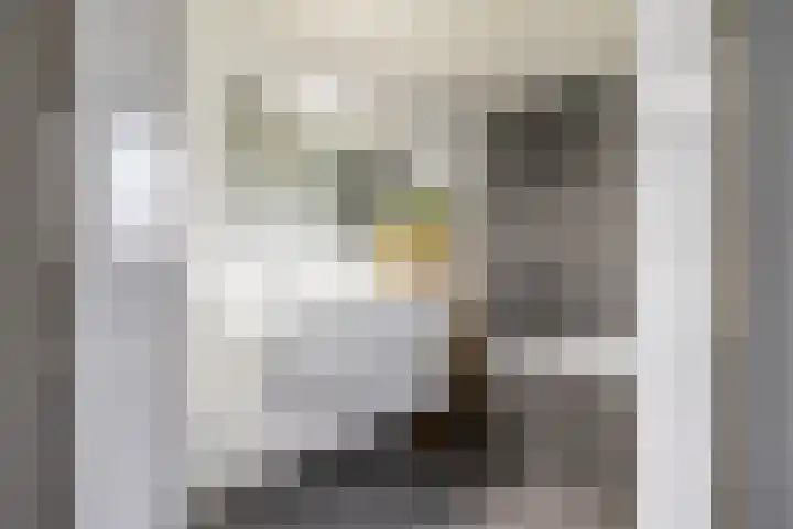 De Gasperilaan 32 Doetinchem thumbnail 34