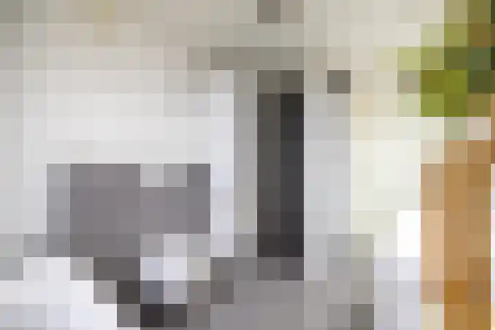 De Gasperilaan 32 Doetinchem thumbnail 36