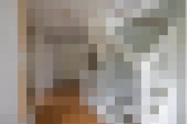 De Gasperilaan 32 Doetinchem thumbnail 37