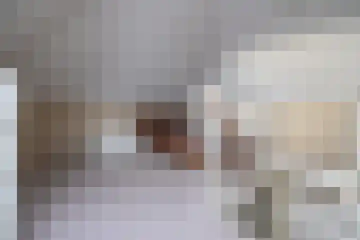 De Gasperilaan 32 Doetinchem thumbnail 39