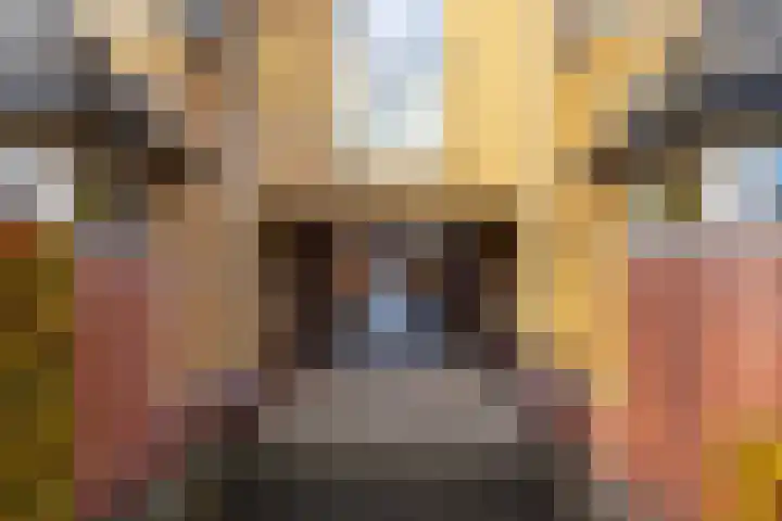 De Gasperilaan 32 Doetinchem thumbnail 42