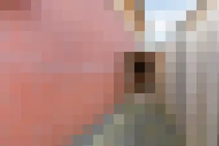 De Gasperilaan 35 Doetinchem thumbnail 41