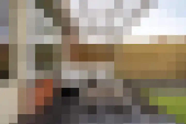 De Gasperilaan 39 Doetinchem thumbnail 16