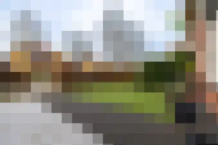De Gasperilaan 39 Doetinchem thumbnail 38