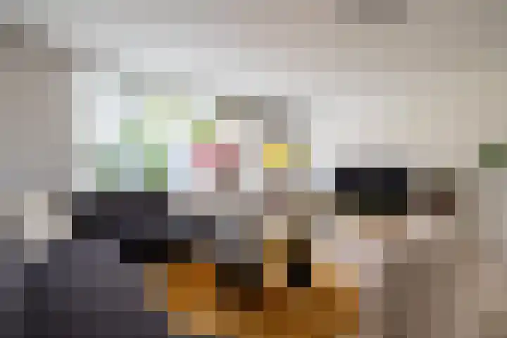 De Gasperilaan 39 Doetinchem thumbnail 6