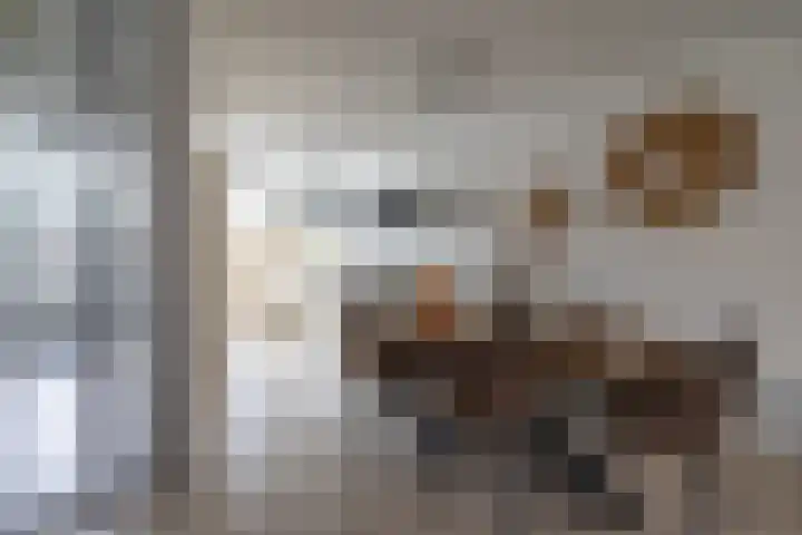 De Gasperilaan 39 Doetinchem thumbnail 8