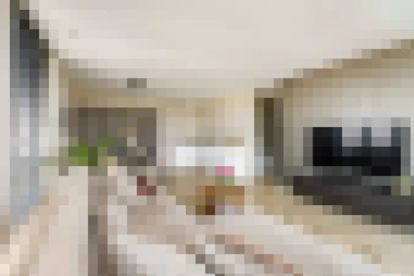 De Gasperilaan 44 Uithoorn thumbnail 22