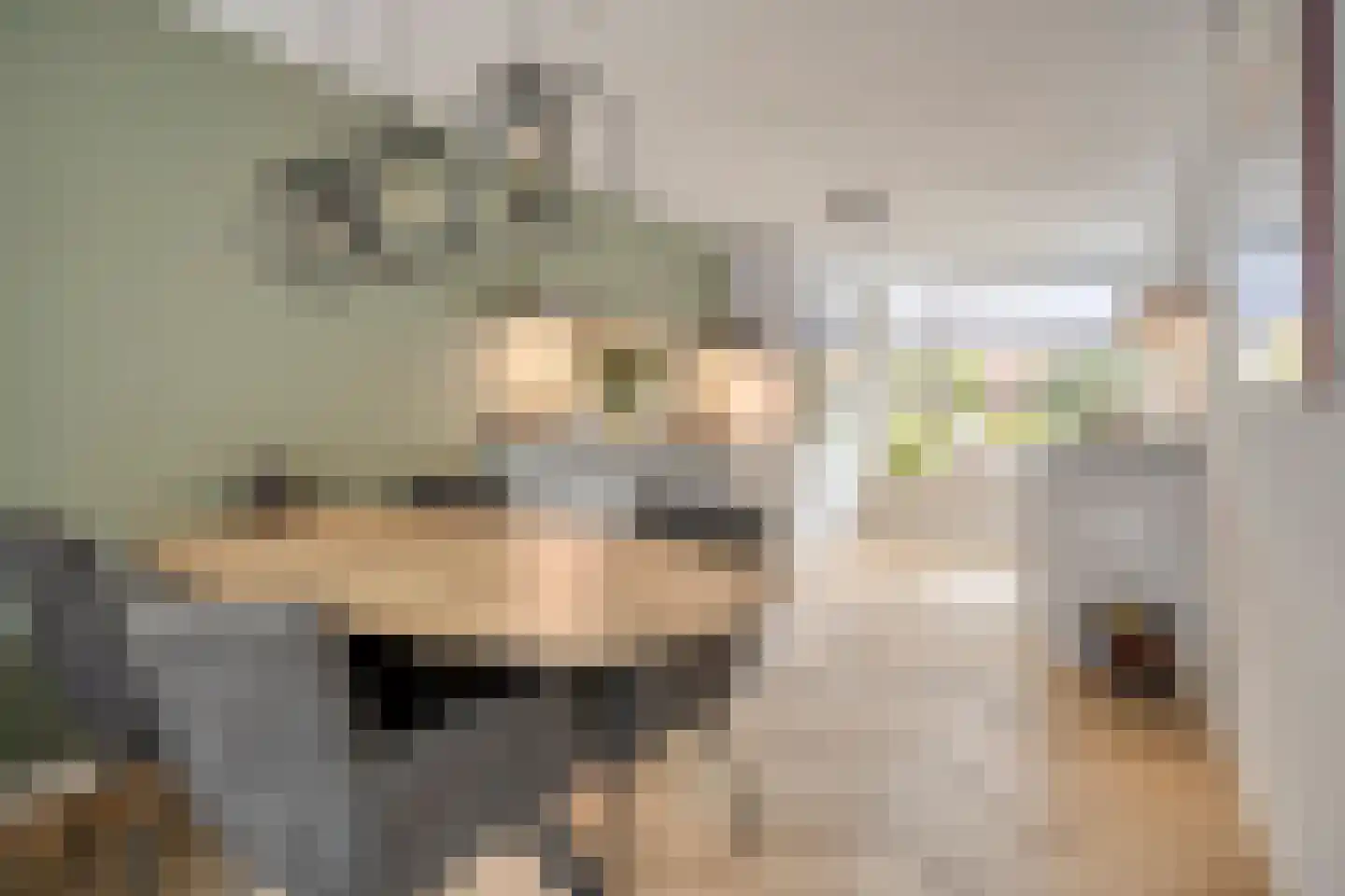 De Gasperilaan 55 Doetinchem thumbnail 7