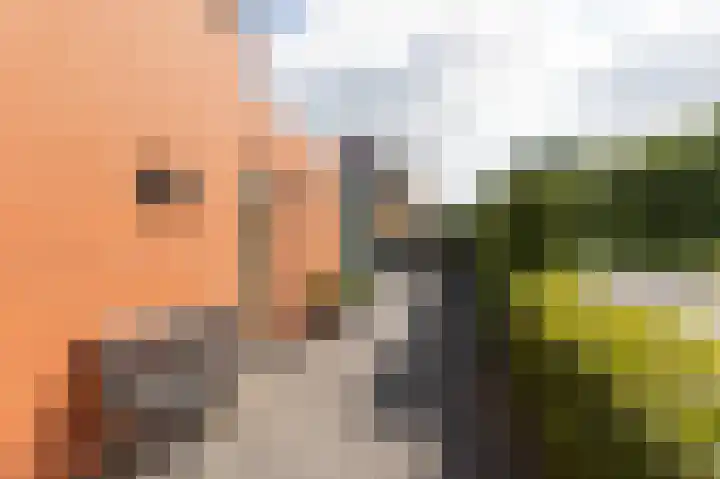 De Gasperilaan 73 Doetinchem thumbnail 32