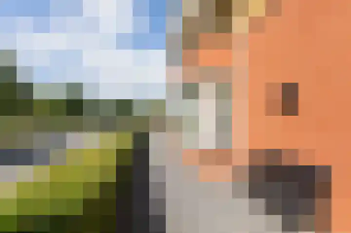 De Gasperilaan 73 Doetinchem thumbnail 33
