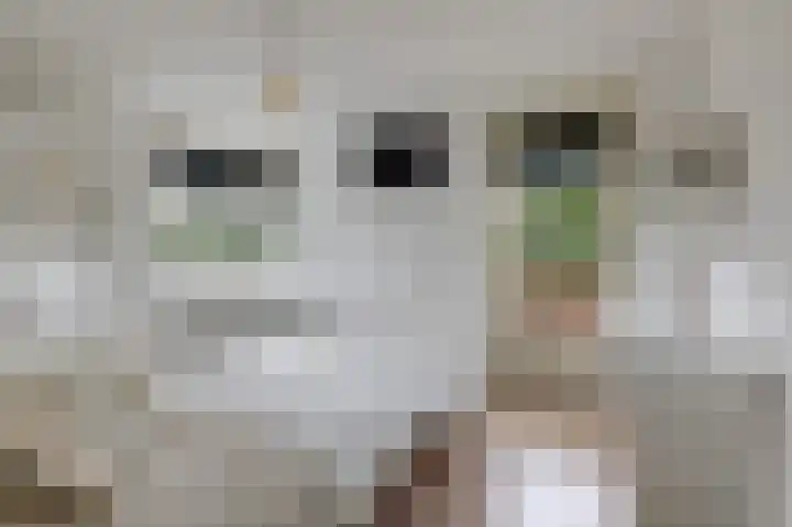 De Gasperilaan 73 Doetinchem thumbnail 34