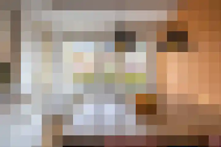 De Gasperilaan 8 Doetinchem thumbnail 10