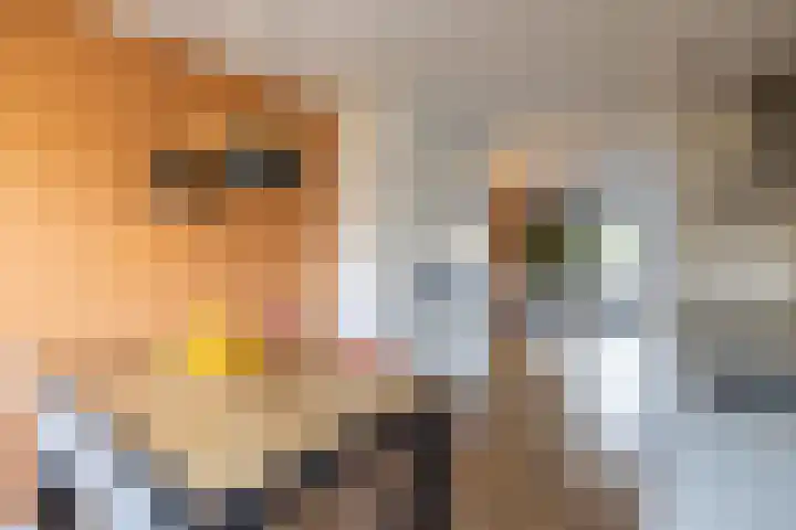 De Gasperilaan 8 Doetinchem thumbnail 13