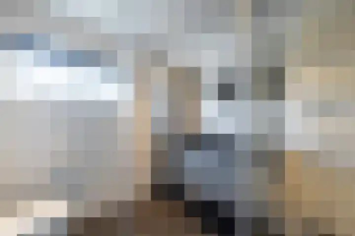 De Gasperilaan 8 Doetinchem thumbnail 28