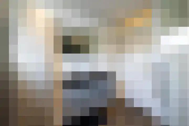De Gasperilaan 8 Doetinchem thumbnail 30