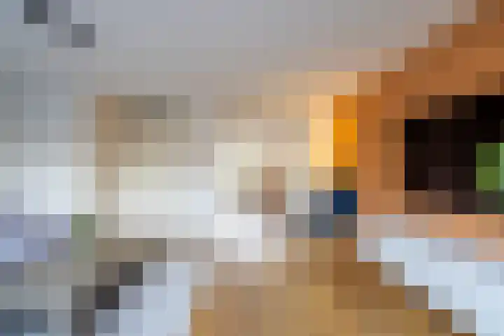De Gasperilaan 8 Doetinchem thumbnail 5