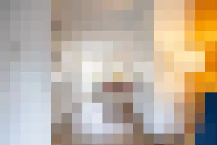 De Gasperilaan 8 Doetinchem thumbnail 6