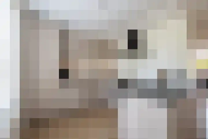 De Gasperilaan 87 Doetinchem thumbnail 9