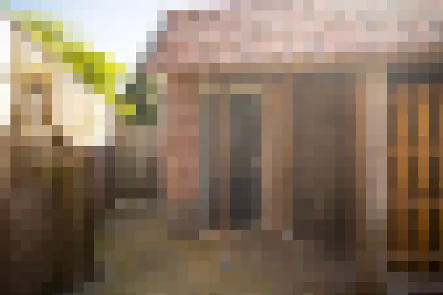 De Gasperisingel 27 Ede thumbnail 26