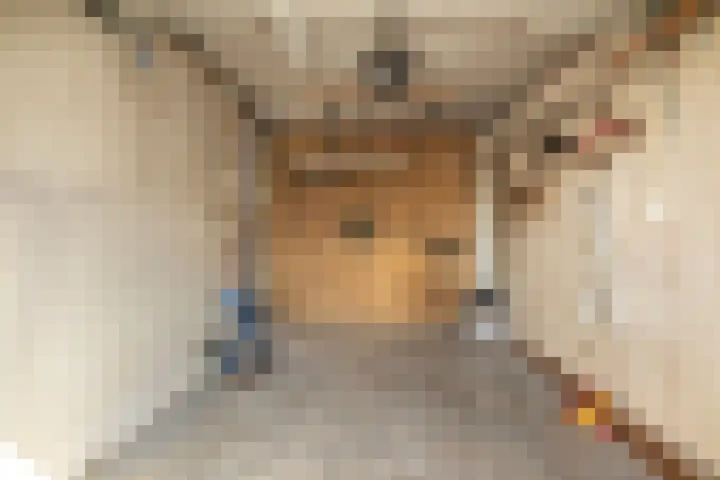 De Gasperisingel 27 Ede thumbnail 29