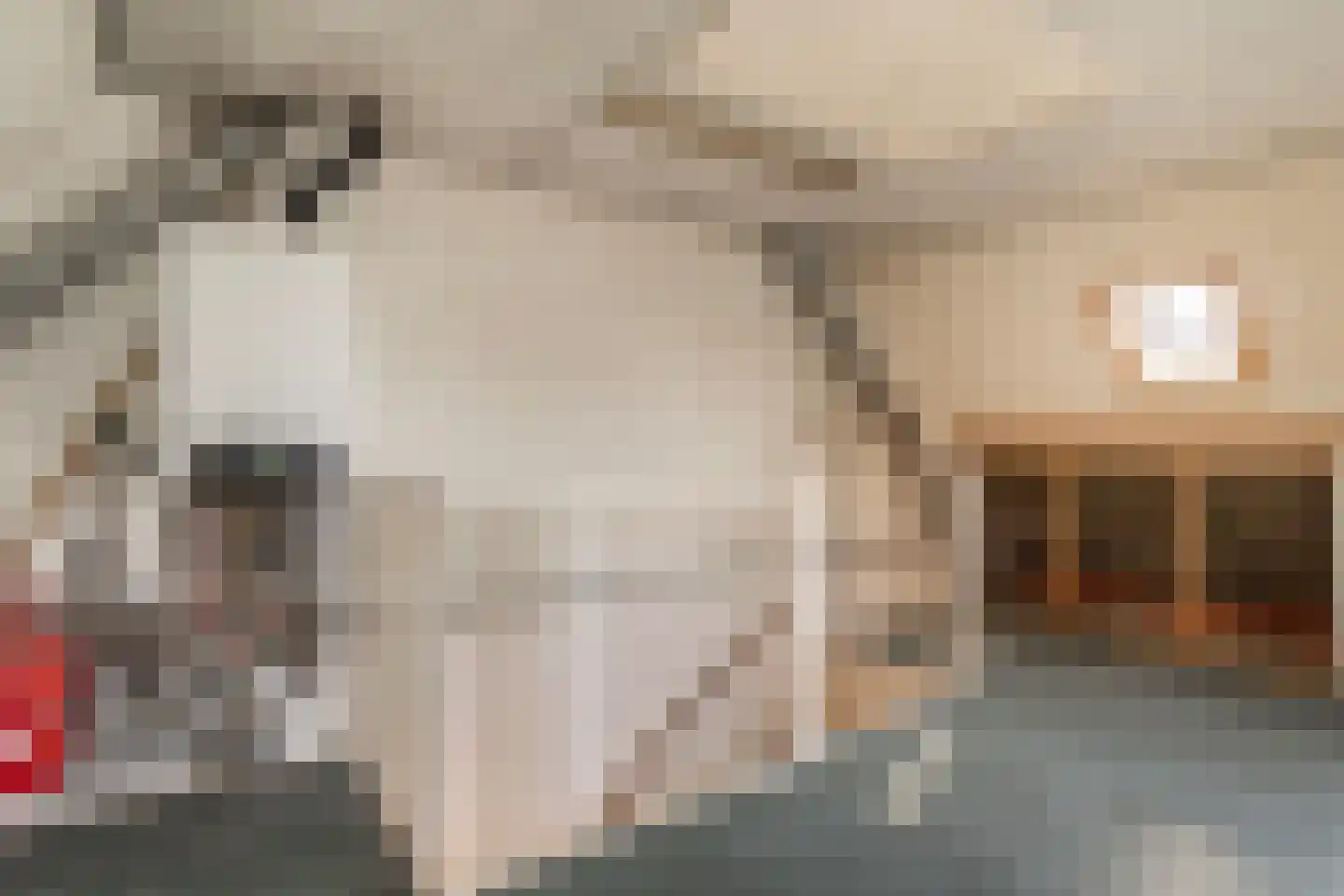 De Gasperisingel 27 Ede thumbnail 43