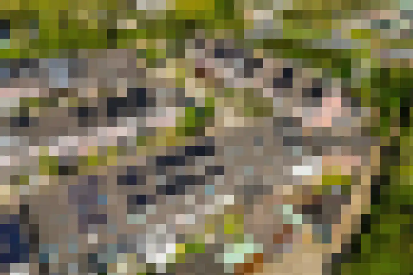 De Gasperisingel 27 Ede thumbnail 48