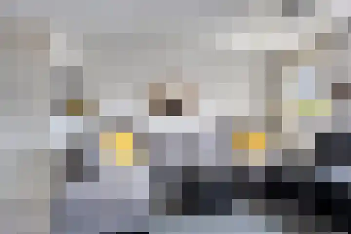 De Gasperisingel 39 Ede thumbnail 10